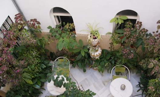Hostal Alcazar
