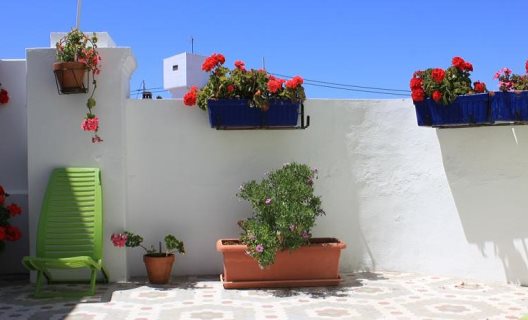 Hostal B&b Hi Valencia Canovas
