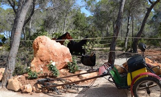 Hostal Cala Boix