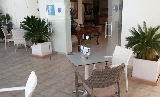 Hostal Celo Garden