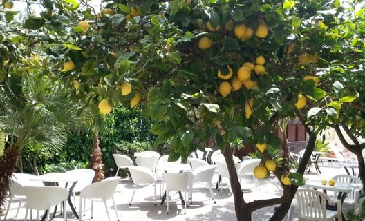 Hostal Celo Garden