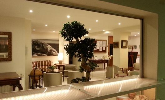 Hostal Celo Garden