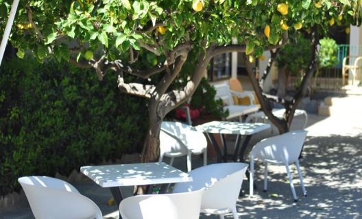 Hostal Celo Garden