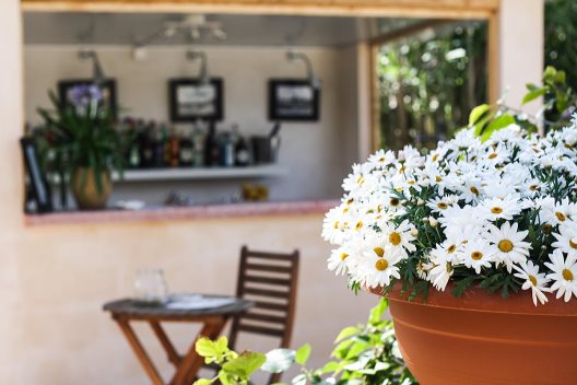 Hostal Ciutat Jardi