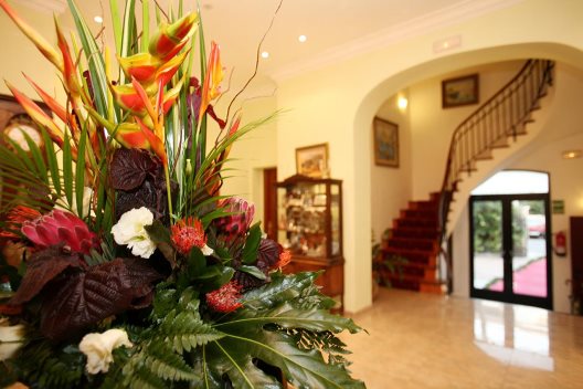 Hostal Ciutat Jardi