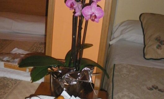 Hostal Del Pez Azul