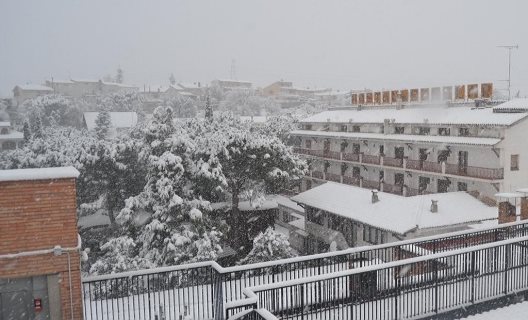 Hostal Del Senglar