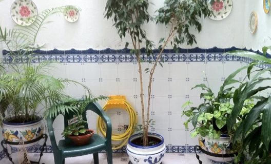 Hostal Dianes