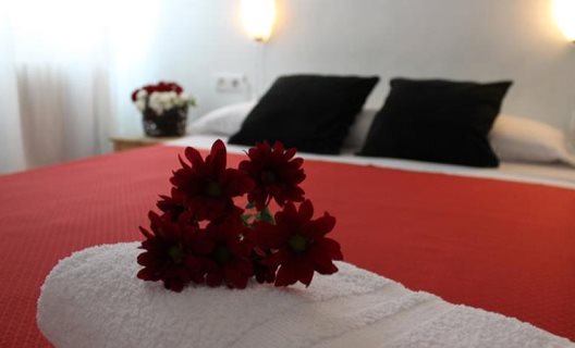 Hostal Duquesa Plaza