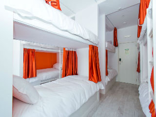 Hostal Golden Tram 242