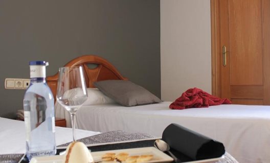 Hostal Izaga