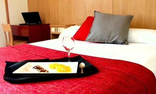 Hostal Izaga