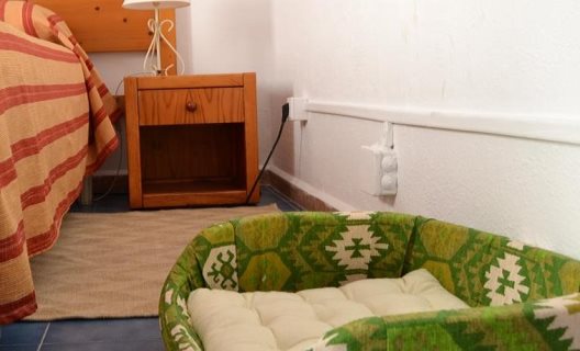 Hostal La Mimosa Guesthouse B&b