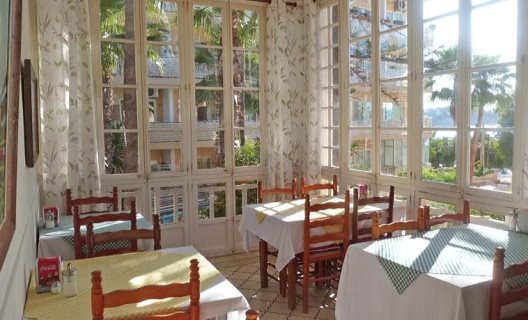 Hostal La Mimosa Guesthouse B&b
