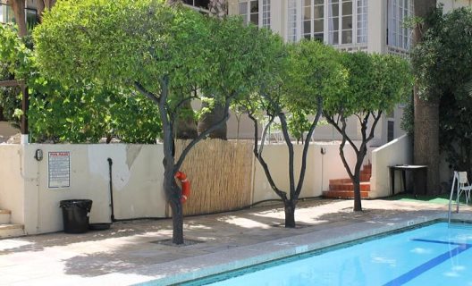 Hostal La Mimosa Guesthouse B&b