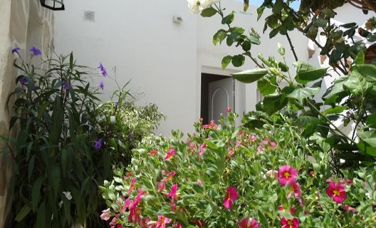 Hostal La Paloma