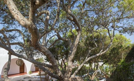 Hostal La Torre