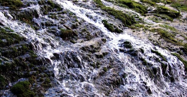 Hostal La Trucha