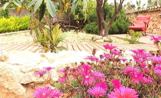 Hostal La Villa Palmer