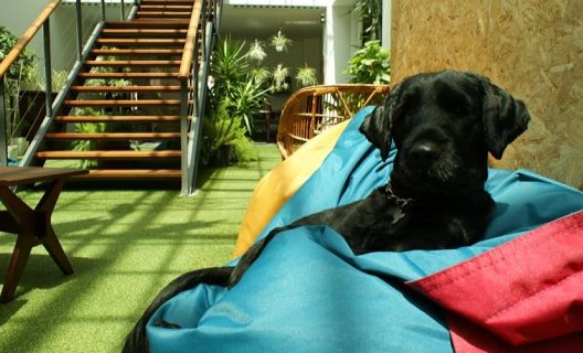 Hostal Lisbon Destination