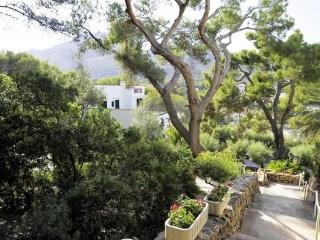 Hostal Los Pinos