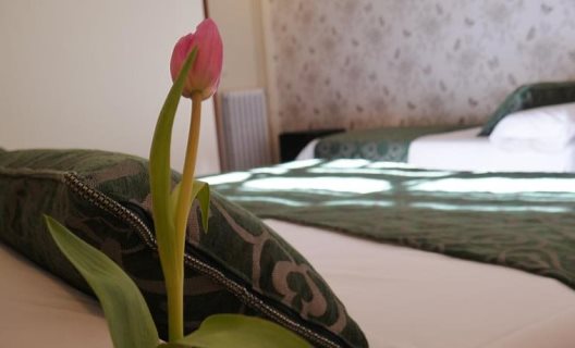 Hostal Mapoula