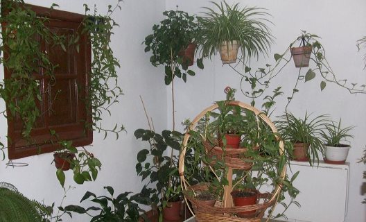 Hostal Moraima