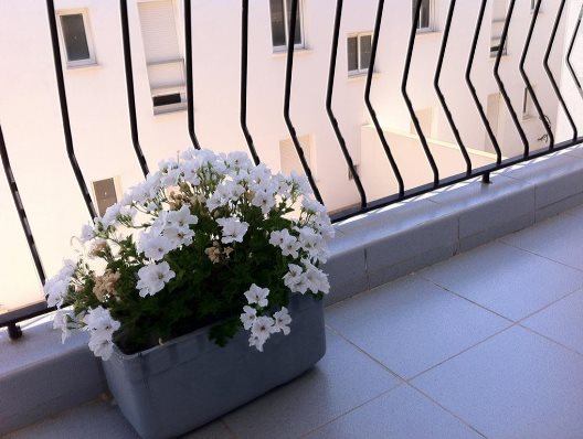 Hostal Pitiusa