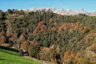 Hostal Posada La Almadreña