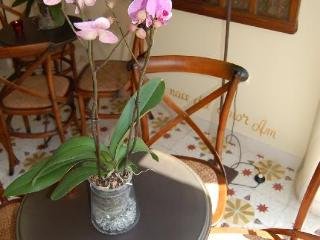 Hostal Residencial Terra De Mar