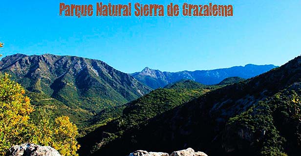 Hostal Rural Marques De Zahara