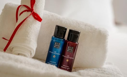 Hostal Salamanca Luxury Plaza