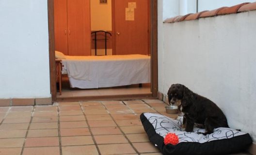 Hostal Sant Bernat