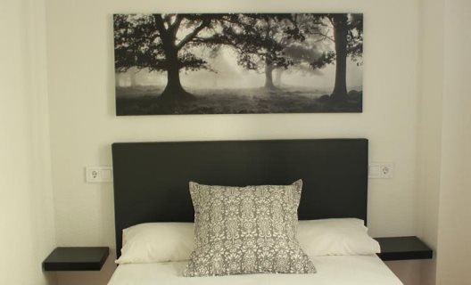 Hostal Teide