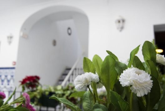 Hostal Triana Backpackers