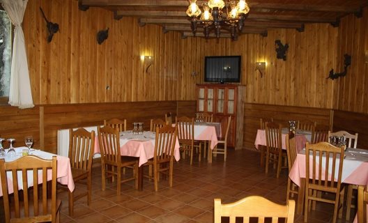 Hostal Tribal