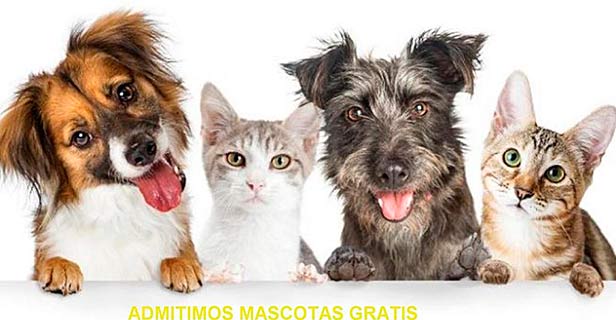 Hostal Vista Alegre Castro Urdiales