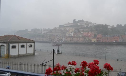 Hostel & Apartments Happy Porto