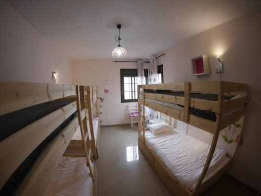 Hostel Drago Nest
