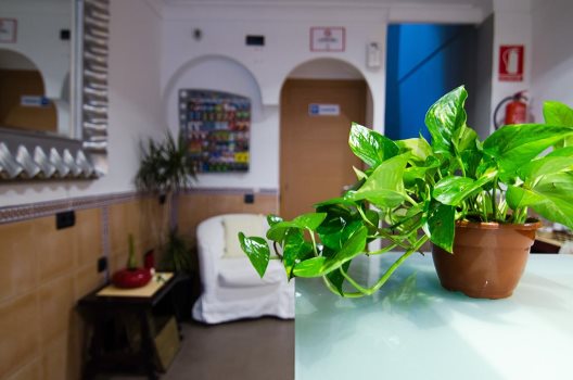 Hostel Malaga Inn