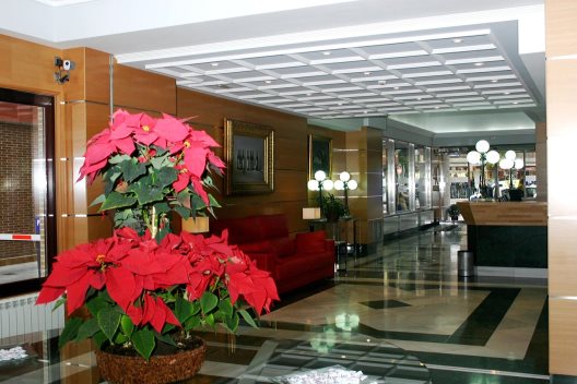 Hotel 4c Bravo Murillo