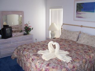 Hotel A Hot Special Disney Area Standard Homes