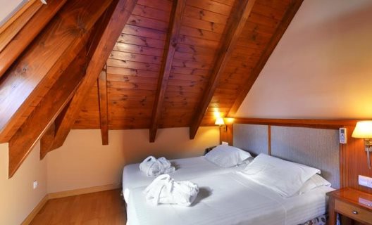 Hotel Acevi Val D'arán