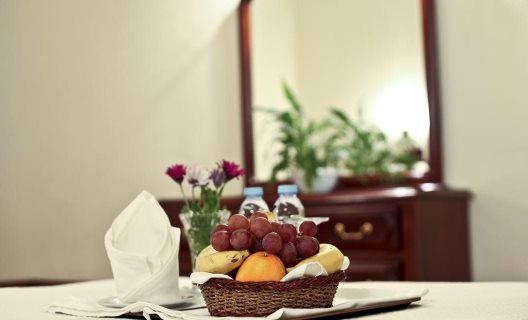 Hotel Aeromar