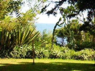 Hotel Albatroz Beach Club