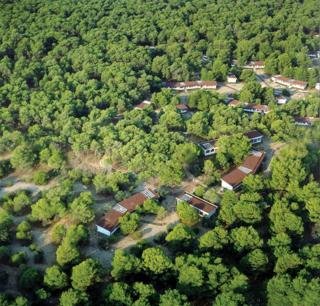 Hotel Alborea Eco Lodges