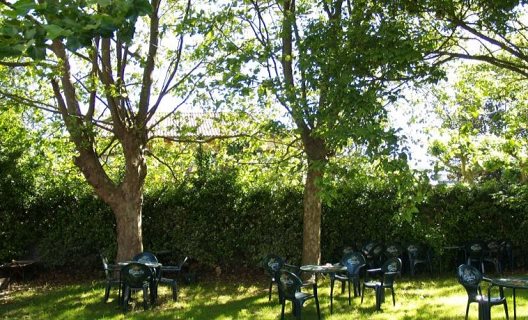 Hotel Alcif