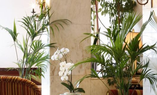 Hotel Alcomar