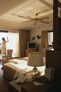 Hotel Aldemar Royal Olympian