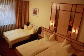 Hotel Alfa City-center